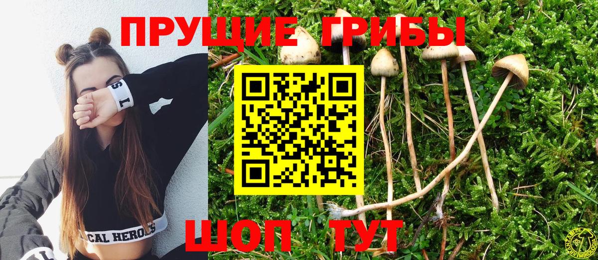 Галлюциногенные грибы MAGIC MUSHROOMS Знаменск