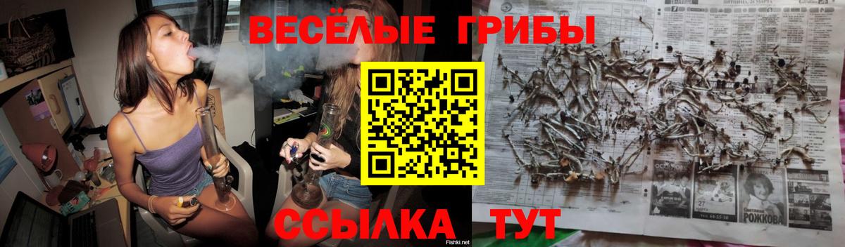 Псилоцибиновые грибы Magic Shrooms  Вход с VPN  Знаменск 